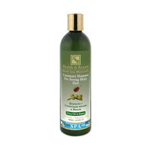 Lade das Bild in den Galerie-Viewer, H&amp;B Shampoo mit Mineralien aus dem Toten Meer Olivenöl &amp; Honig für starkes, glänzendes Haar 400 ml
