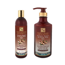 Lade das Bild in den Galerie-Viewer, H&amp;B Shampoo mit Mineralien aus dem Toten Meer Argan-Öl von Marokko für glänzendes Haar 400 ml
